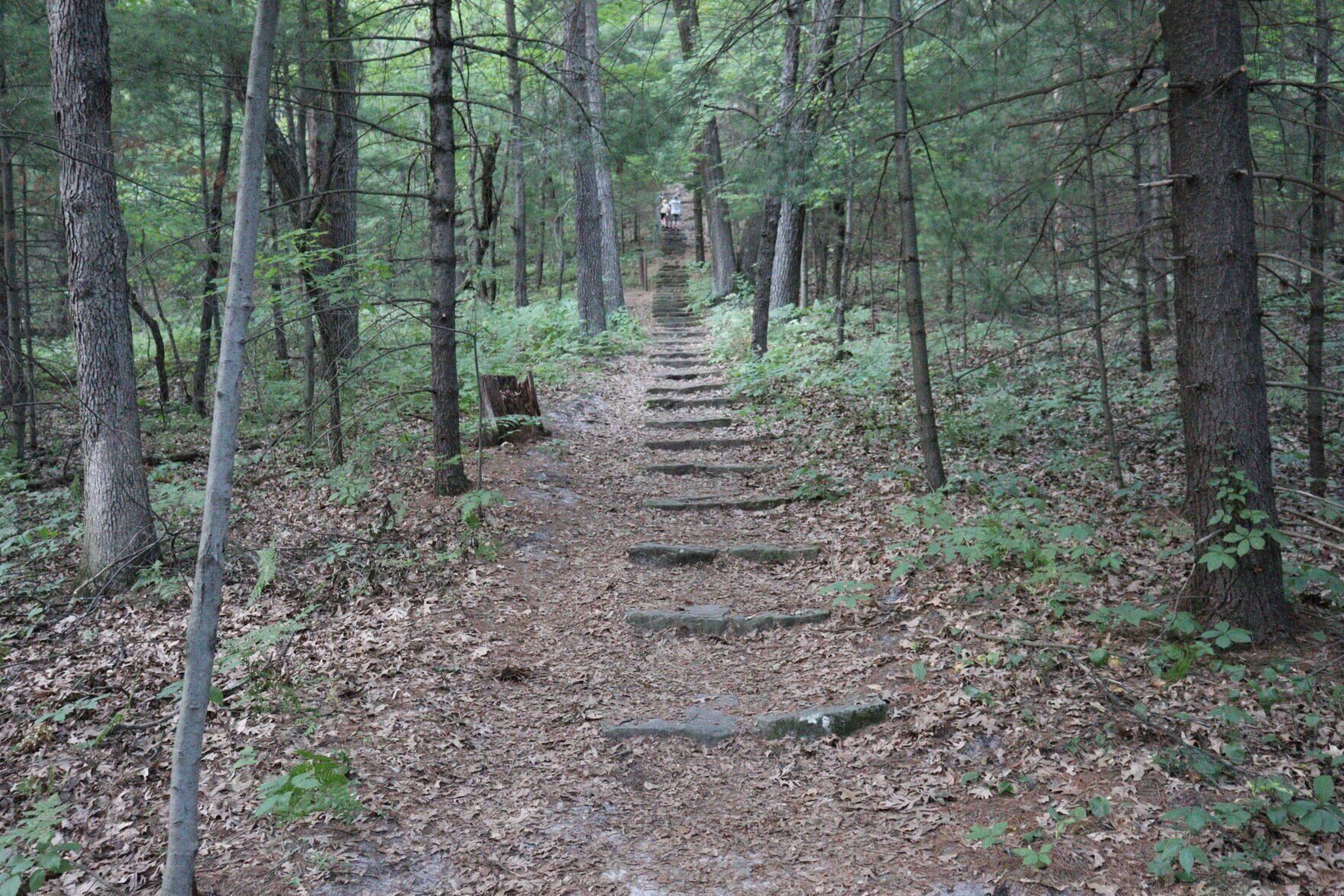 Mill Bluff State Park